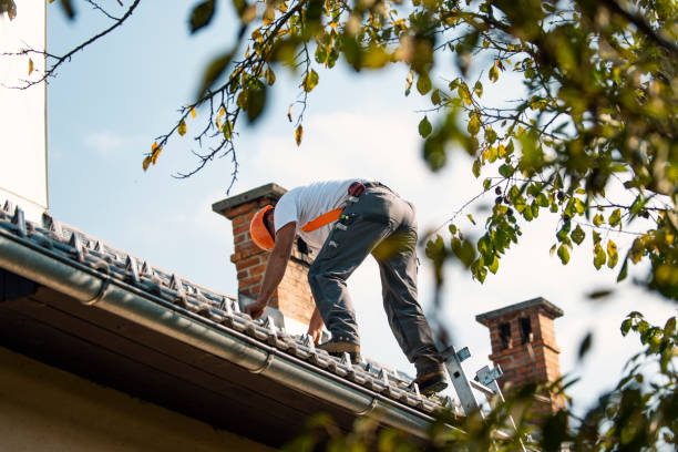 Best Roof Insulation Installation  in Warren, IN