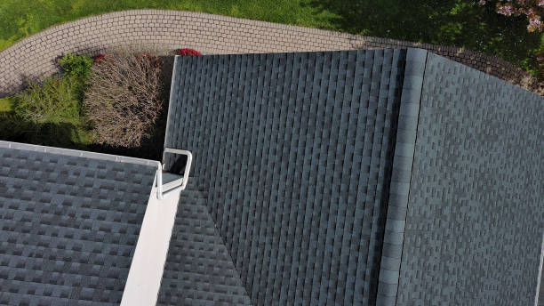 Best Green or Eco-Friendly Roofing Solutions  in Warren, IN